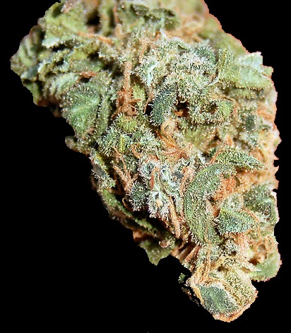 White Lightning