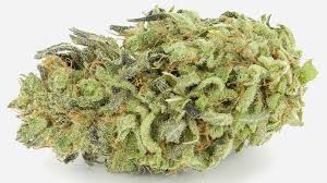 White Poison