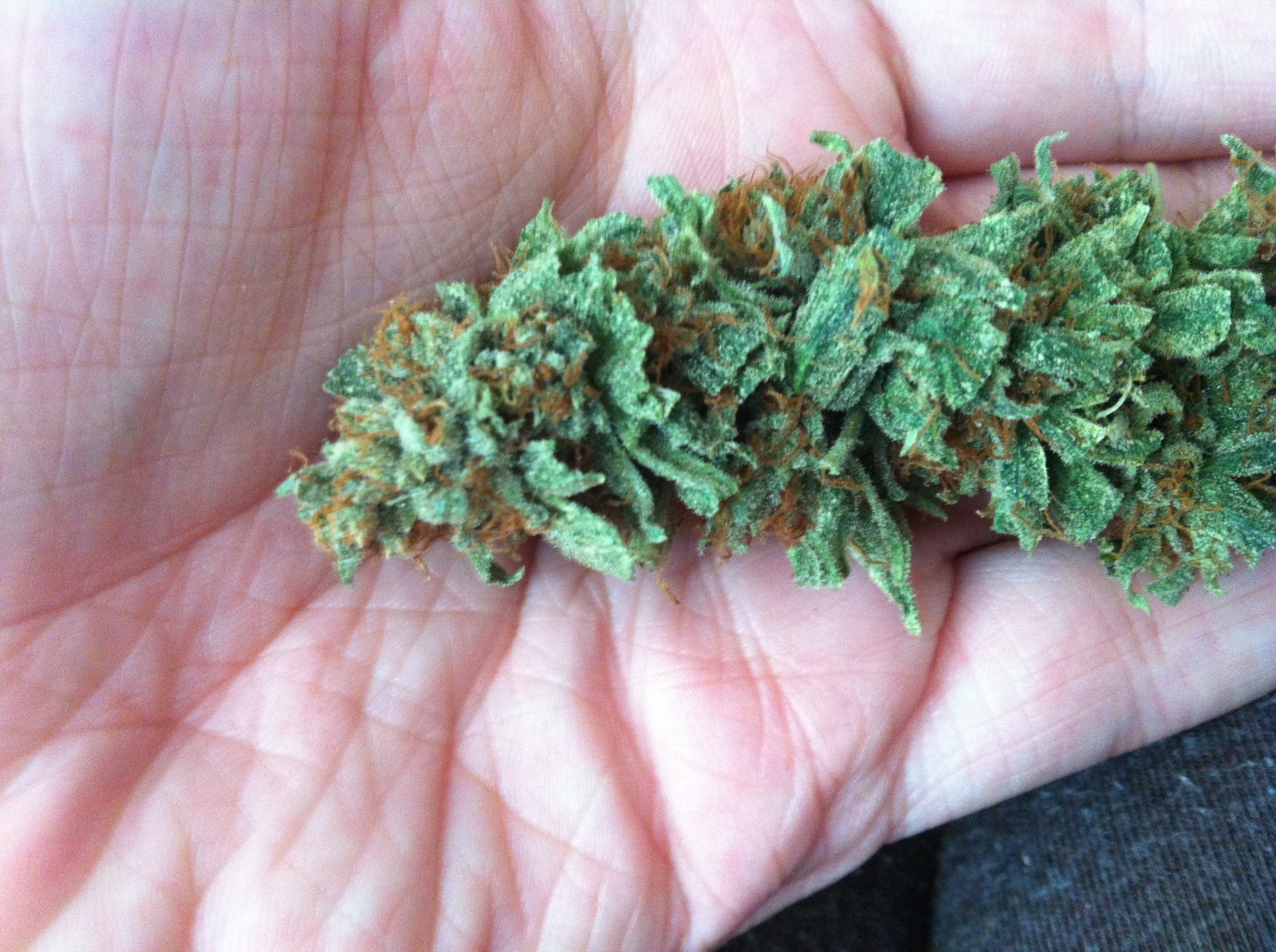 White Romulan