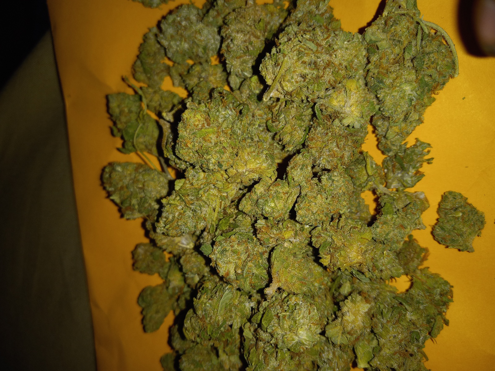 White Super Skunk