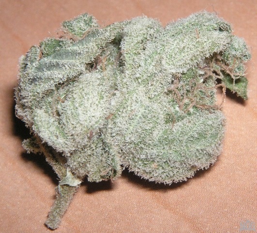White Witch