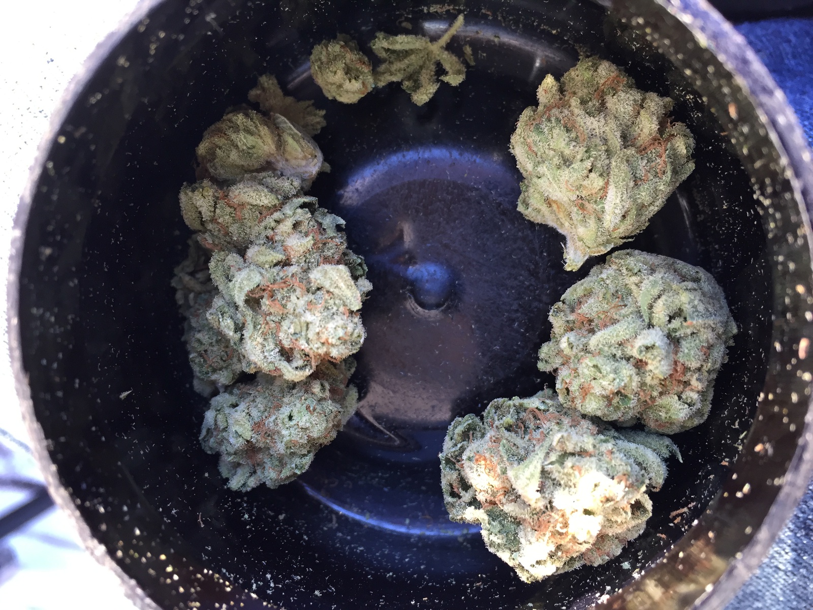 White Zombie