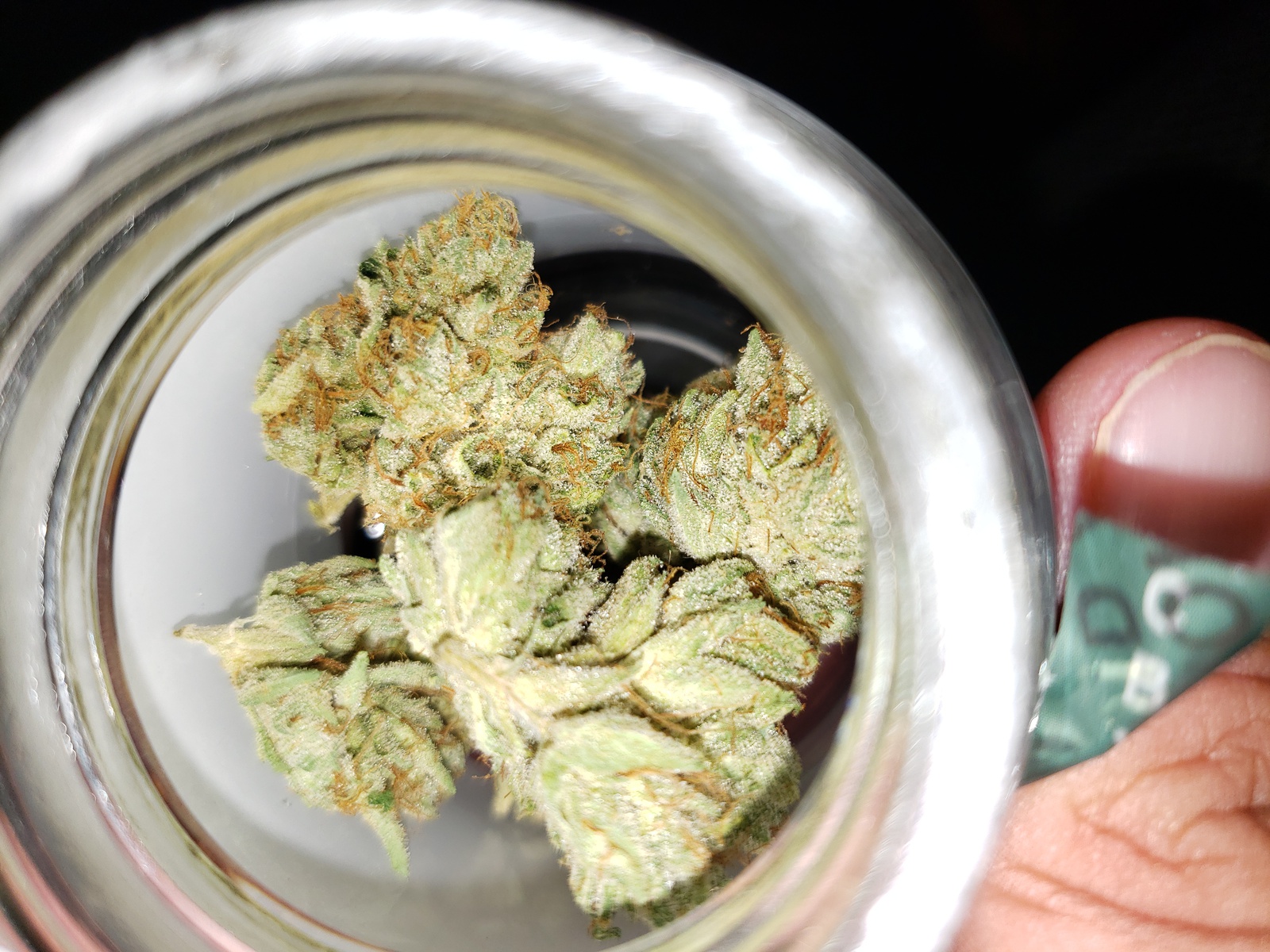 Whitewalker OG
