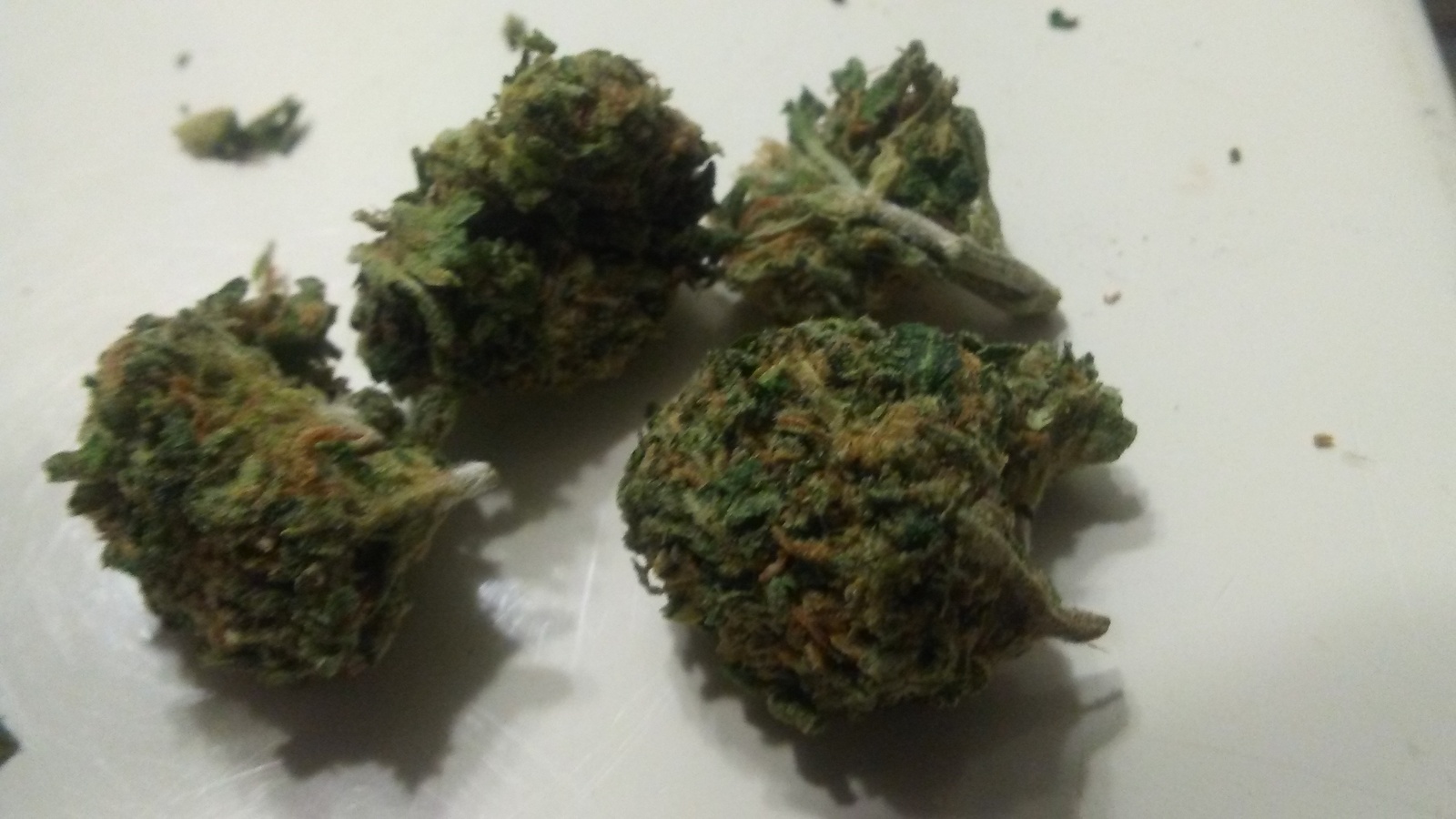Wild Berry Kush