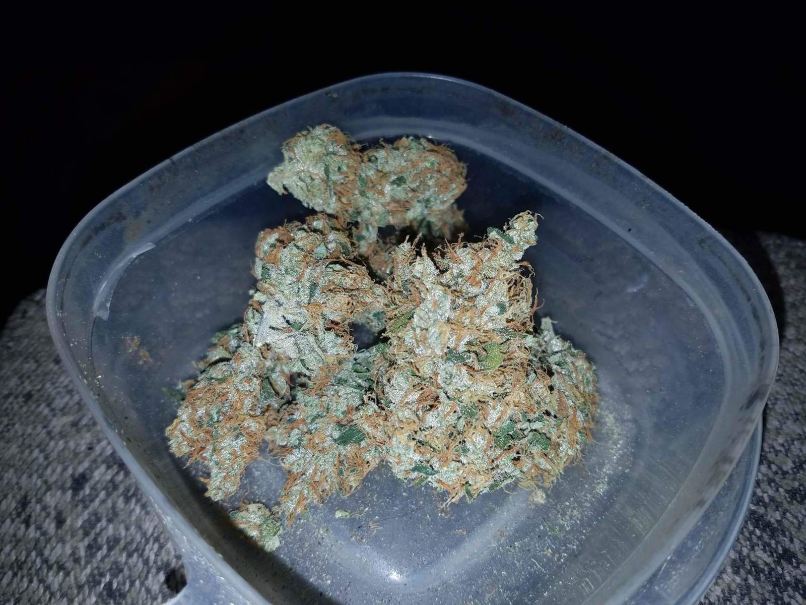 Wonder Haze