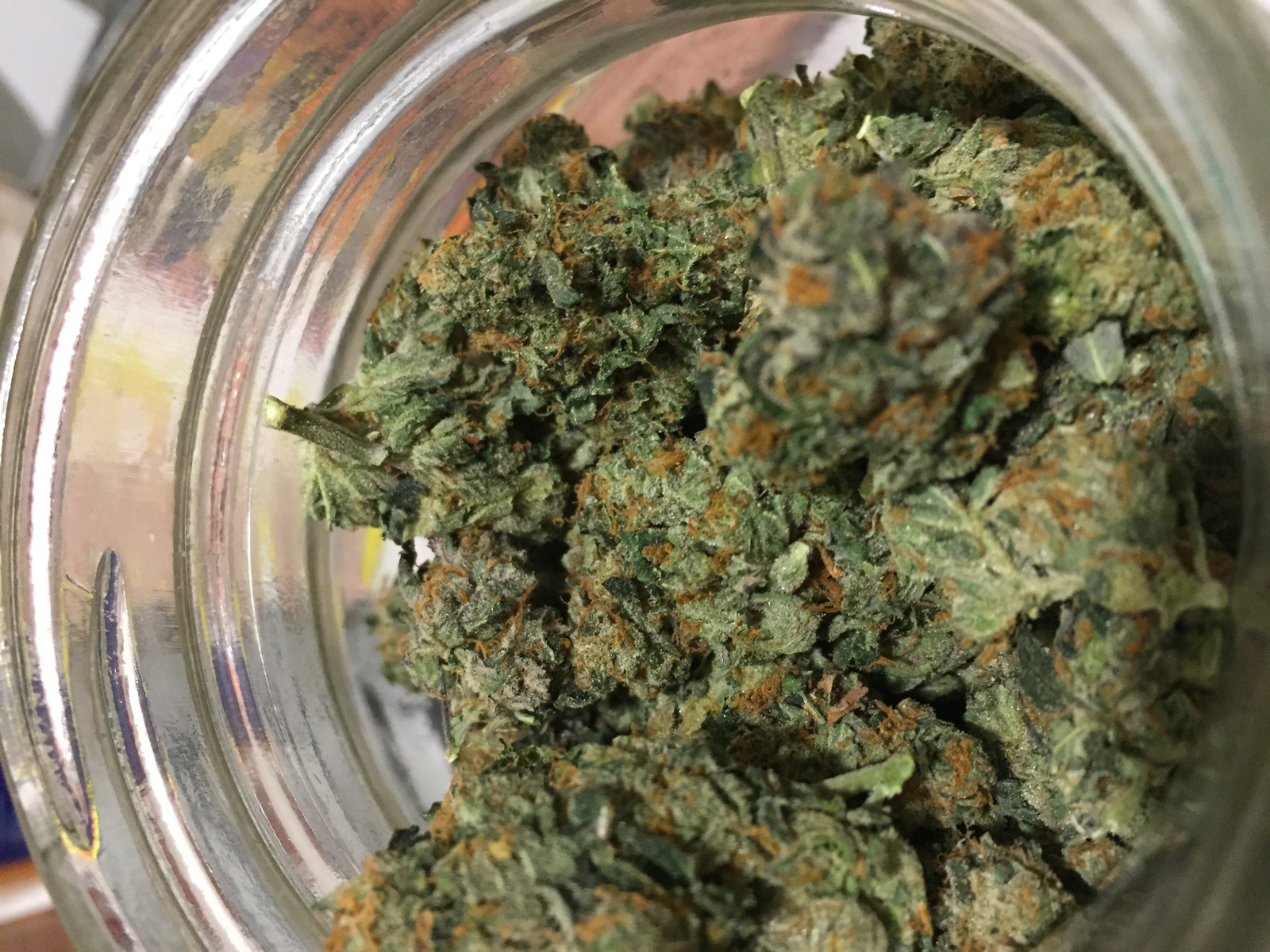 Woody Kush
