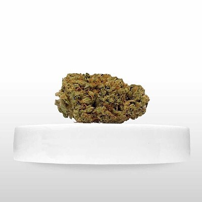 XTC OG