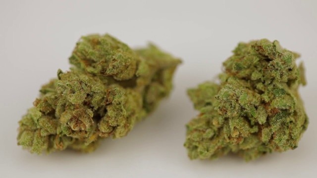 Yem OG