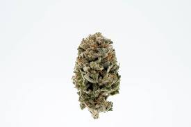 Zkittlez ZOZ