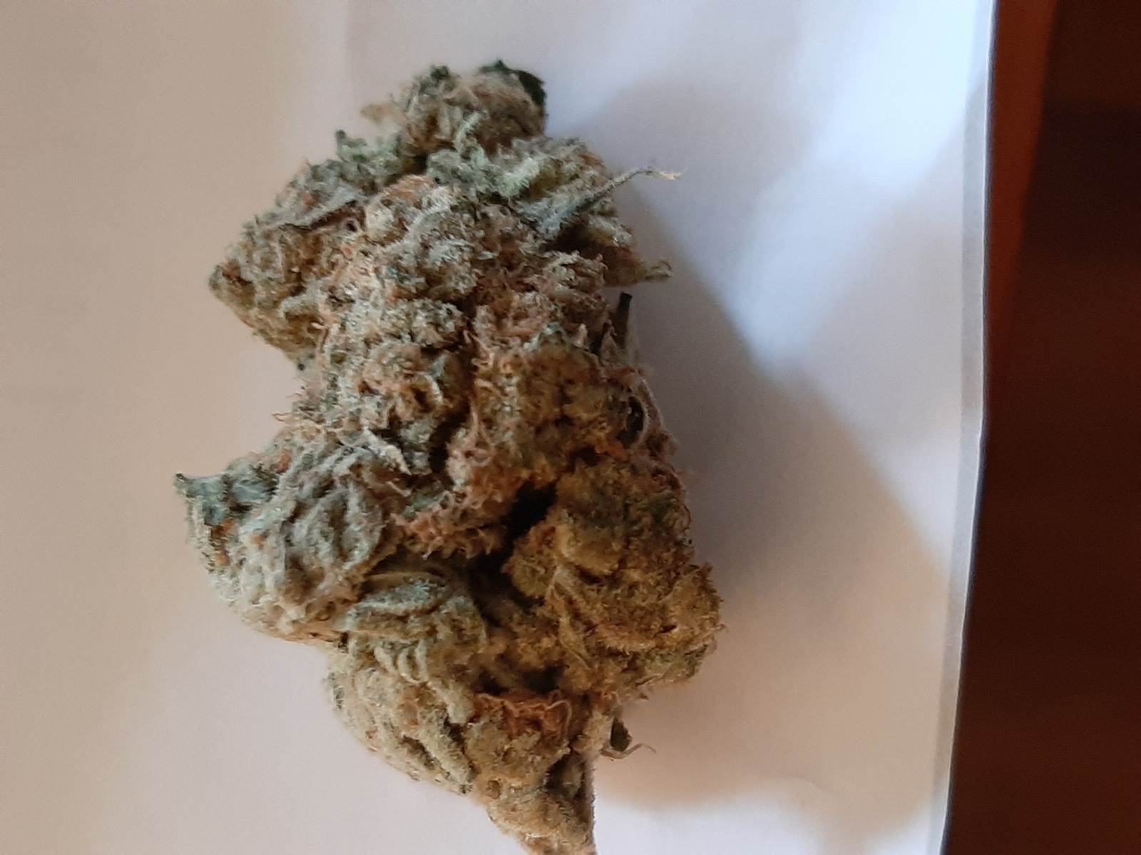 Zombie Haze
