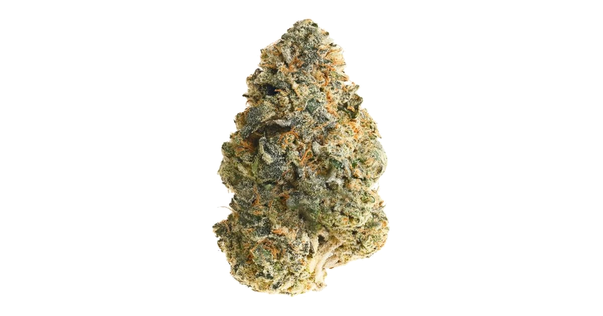 06 OG #67