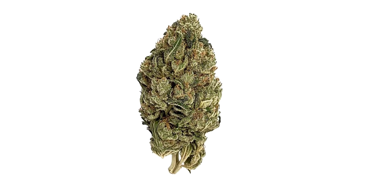 97 Super Sour