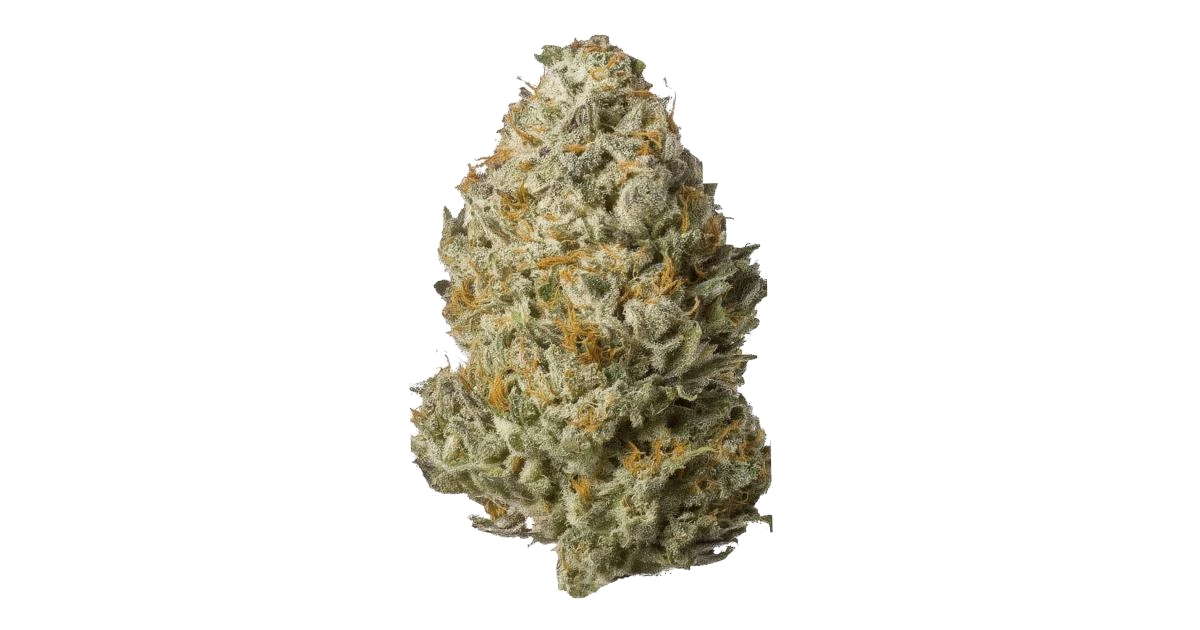 Afghani Apricot