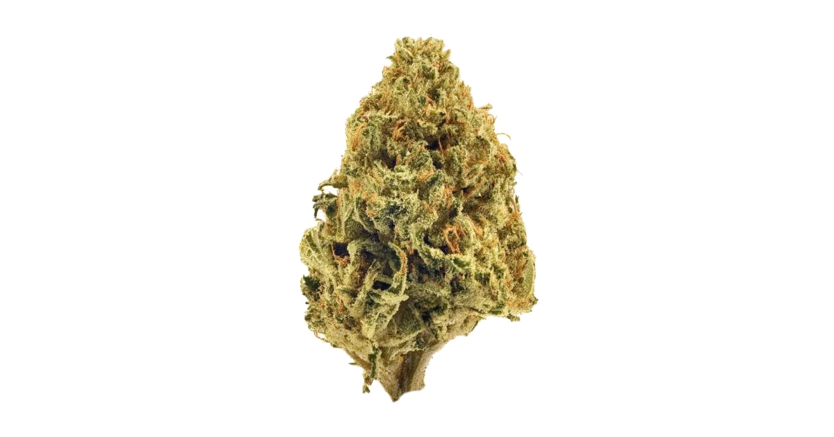 Afghanica