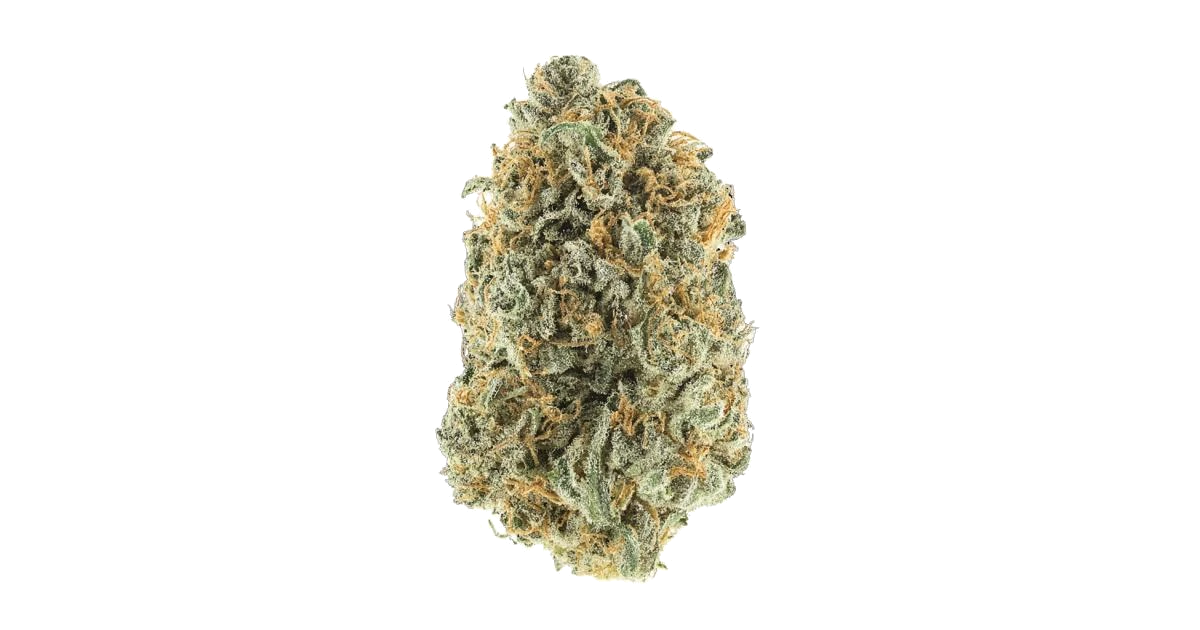 Alien Orange