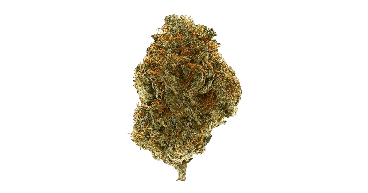 Amnesia Fast