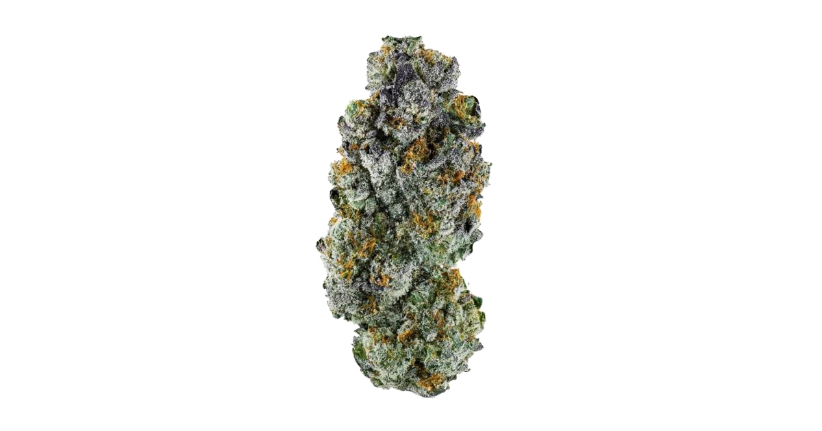 Amnesia Flash