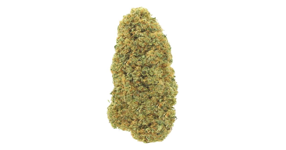 Amnesia Nr. 7