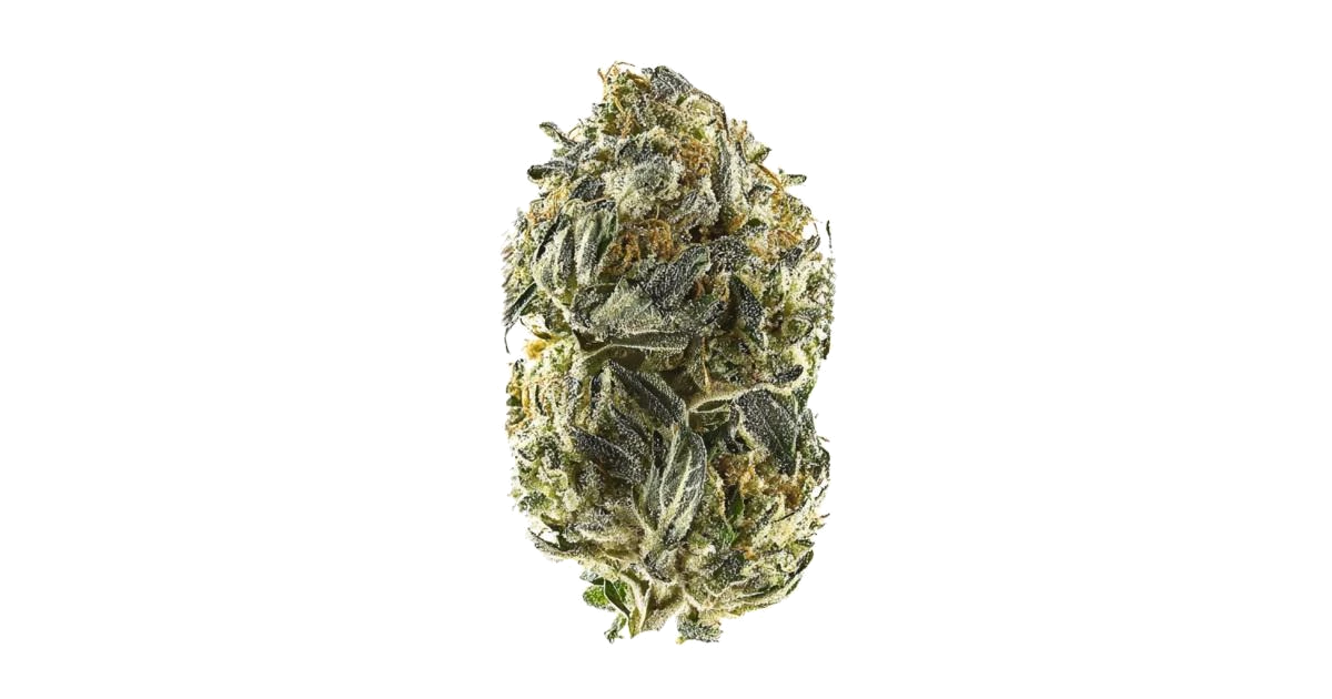 Anesia Scout Cookies