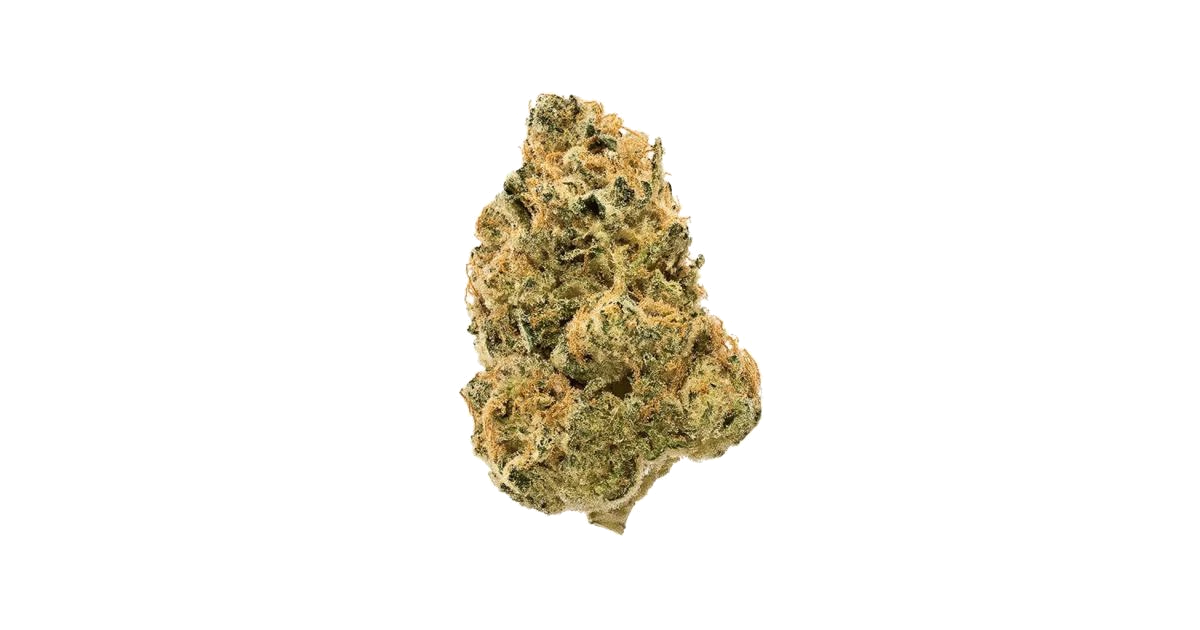 Anubis x Sunset Sherbet