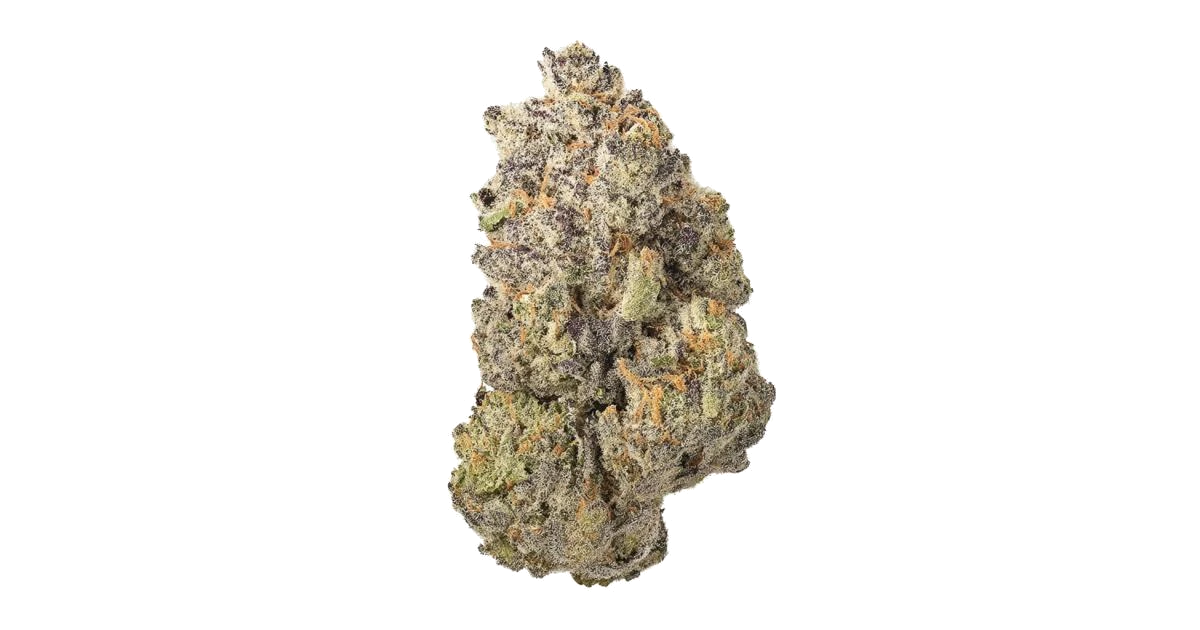 Apple Fritter x Cinderella 99 BX