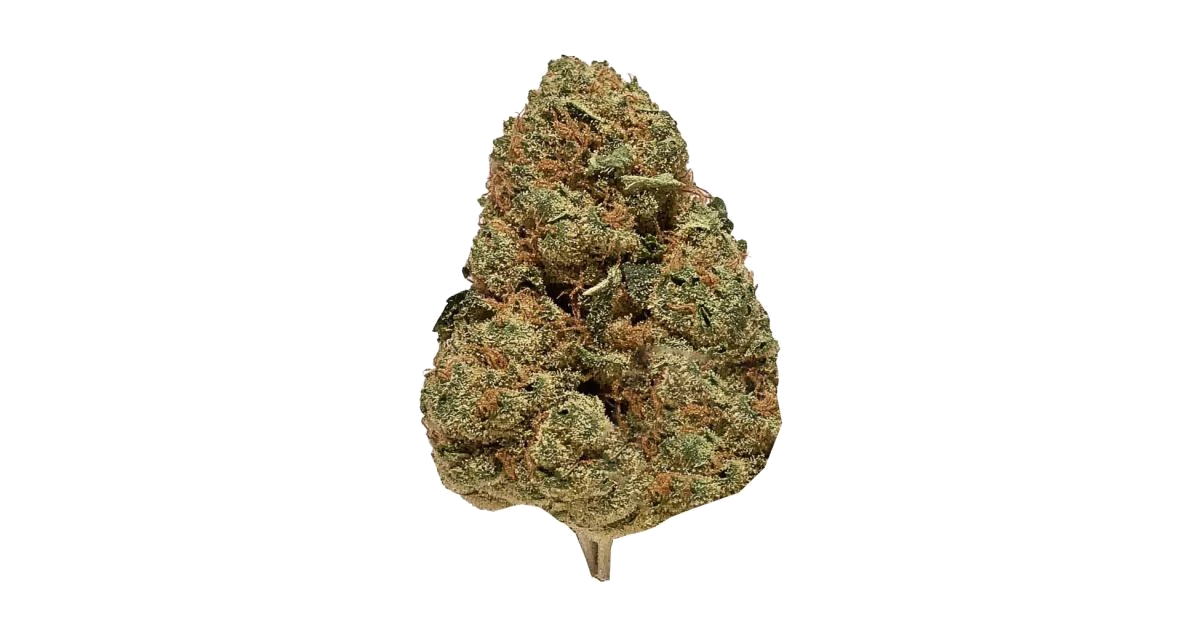 Area 51