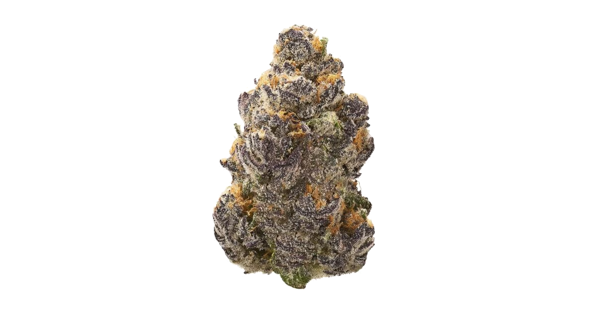 Ayahuasca Purple
