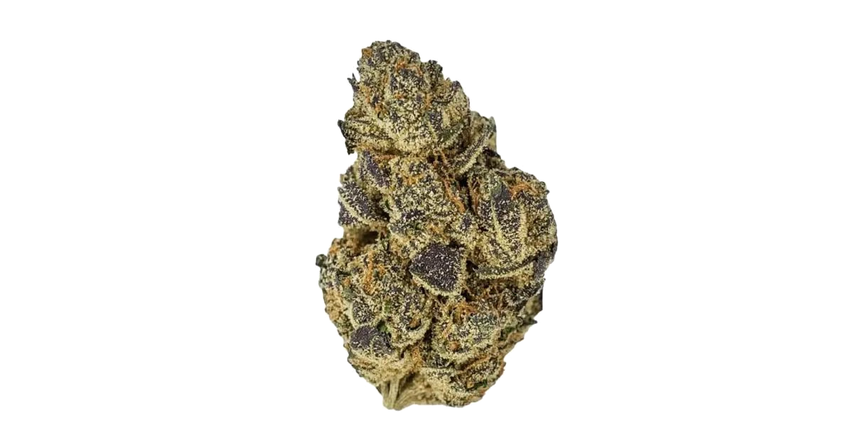 Bacio Gelato