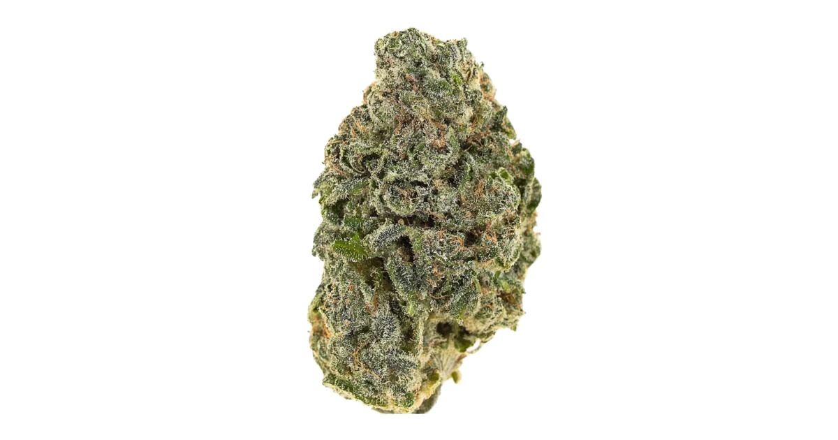 Bad Apple by Aficionado French Connection