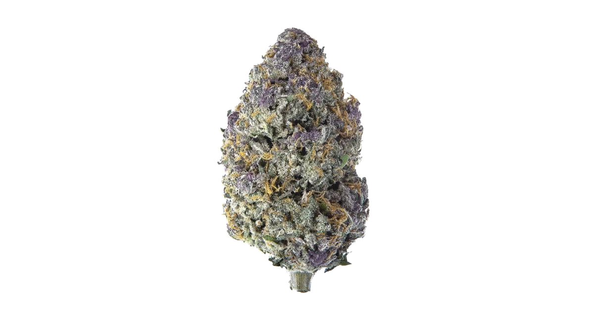 Bahama Berry