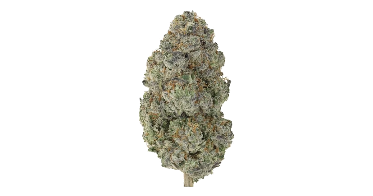 Banana Guava Auto™