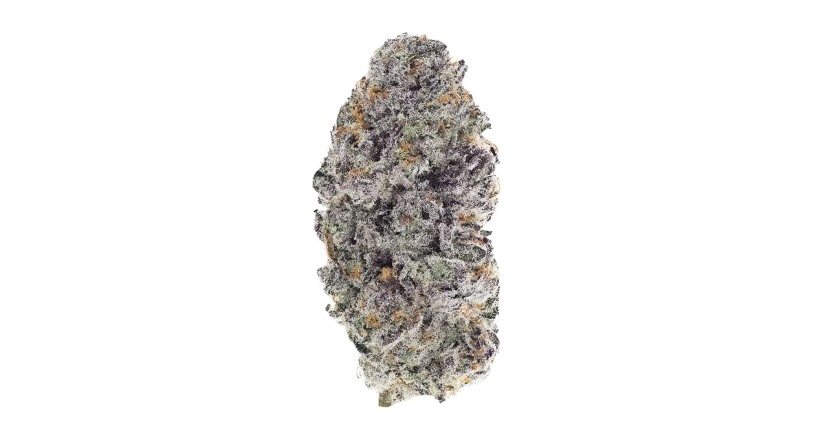 Beary Berry Punch