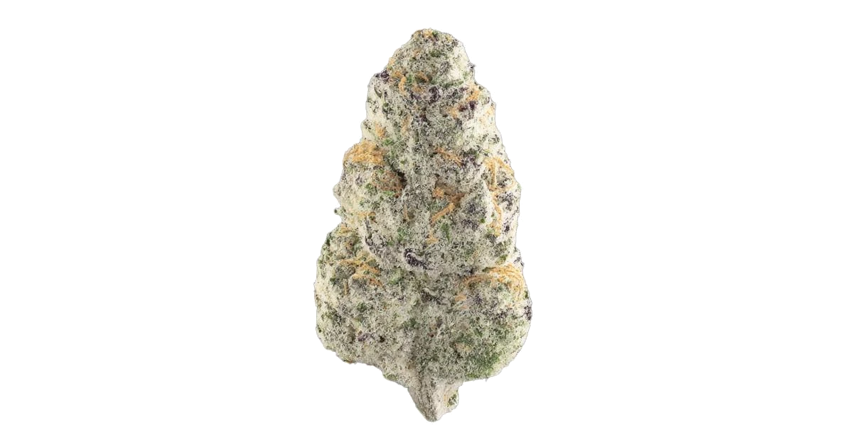 Beluga