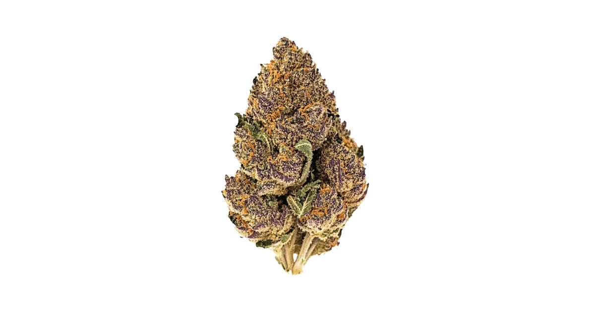 Big Devil XL Auto™