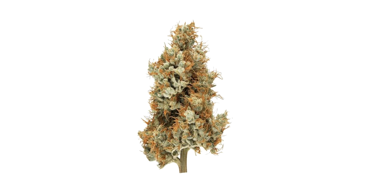 Big Pine