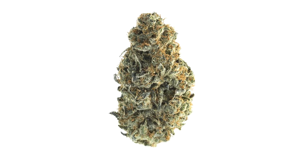 Bigfoot Glue