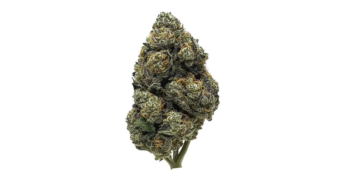 Black Cherry OG