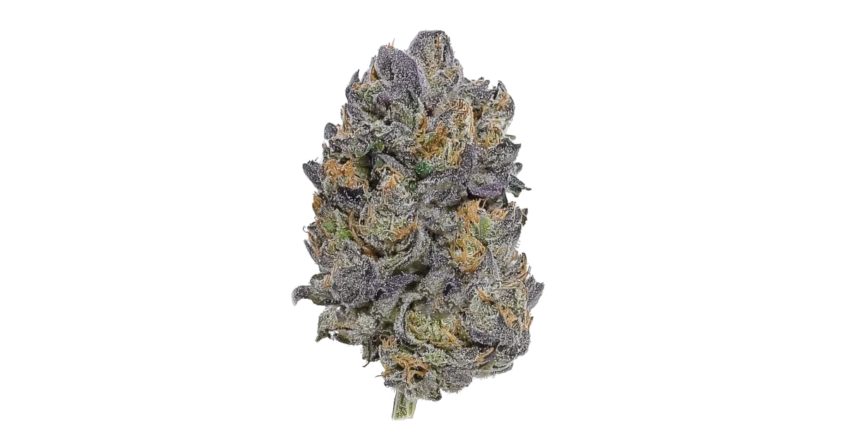 Black Diamond X