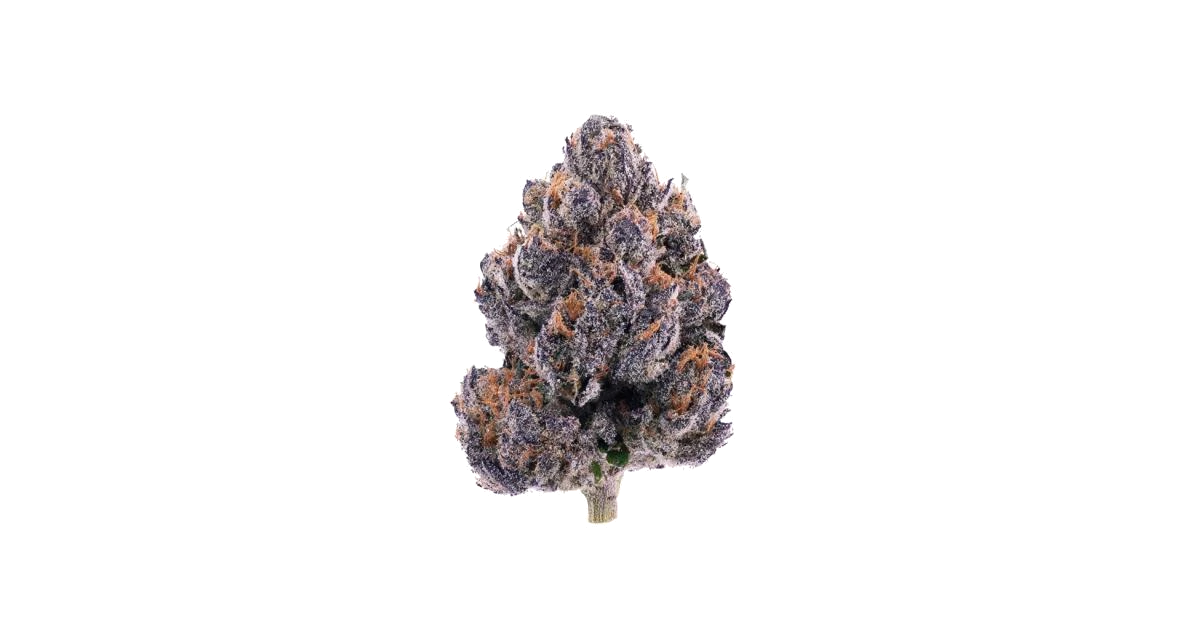 Black Lemon