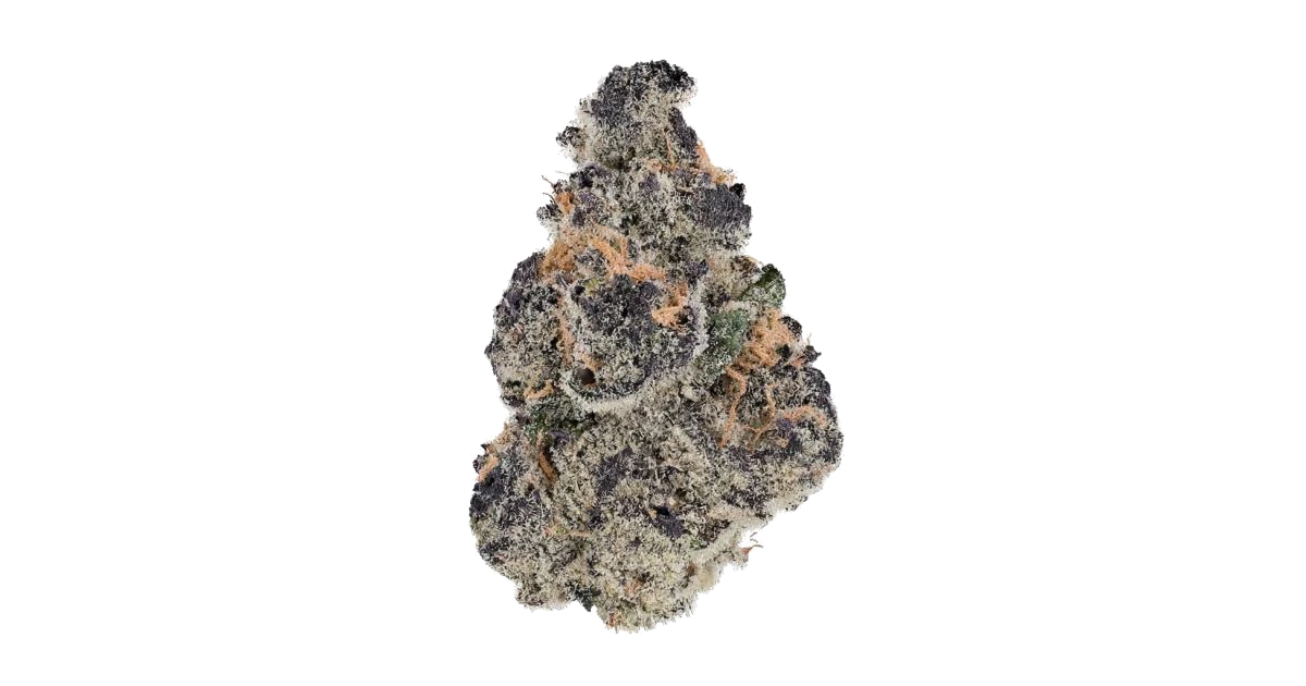 Black Magic Kush