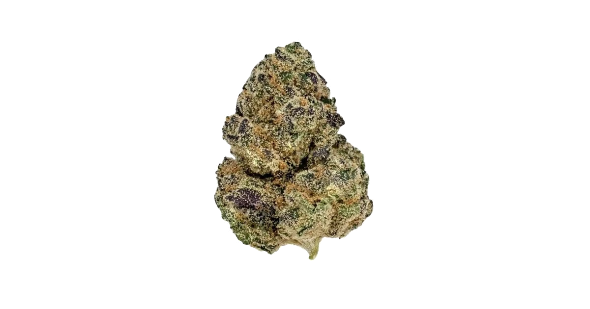 Black Mamba