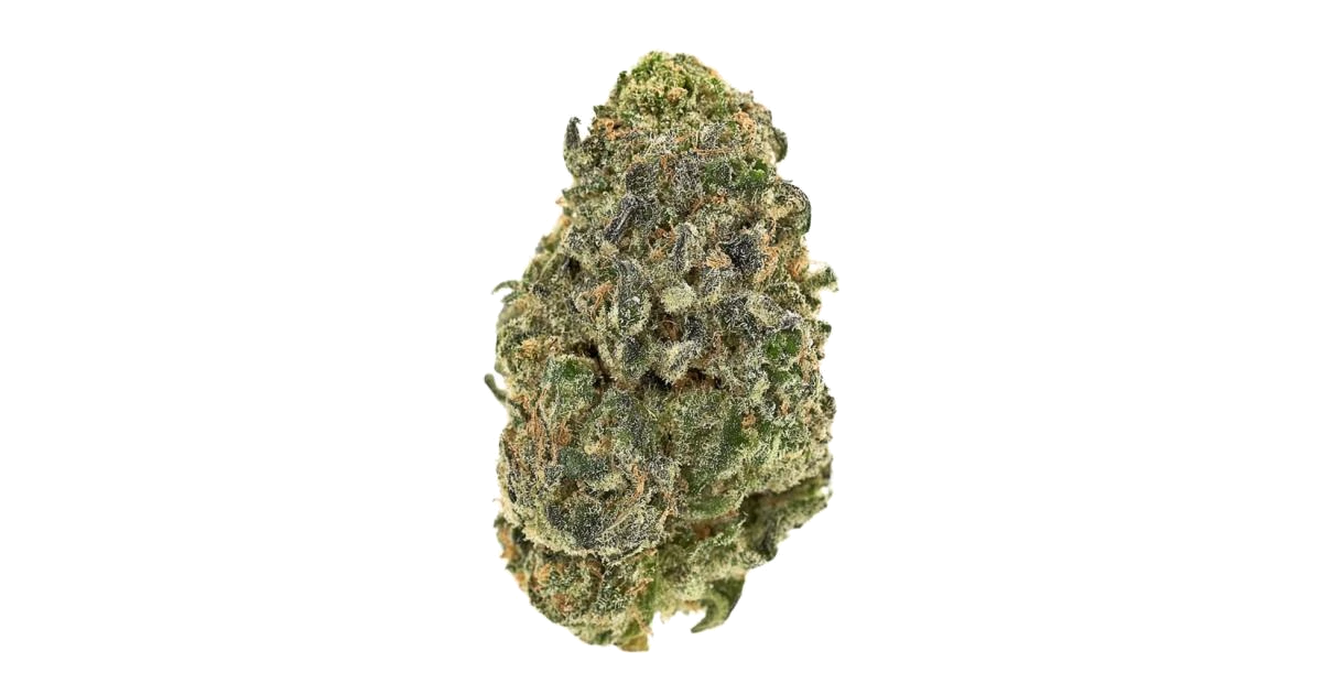 Black Maple 22 x Sour Dubb