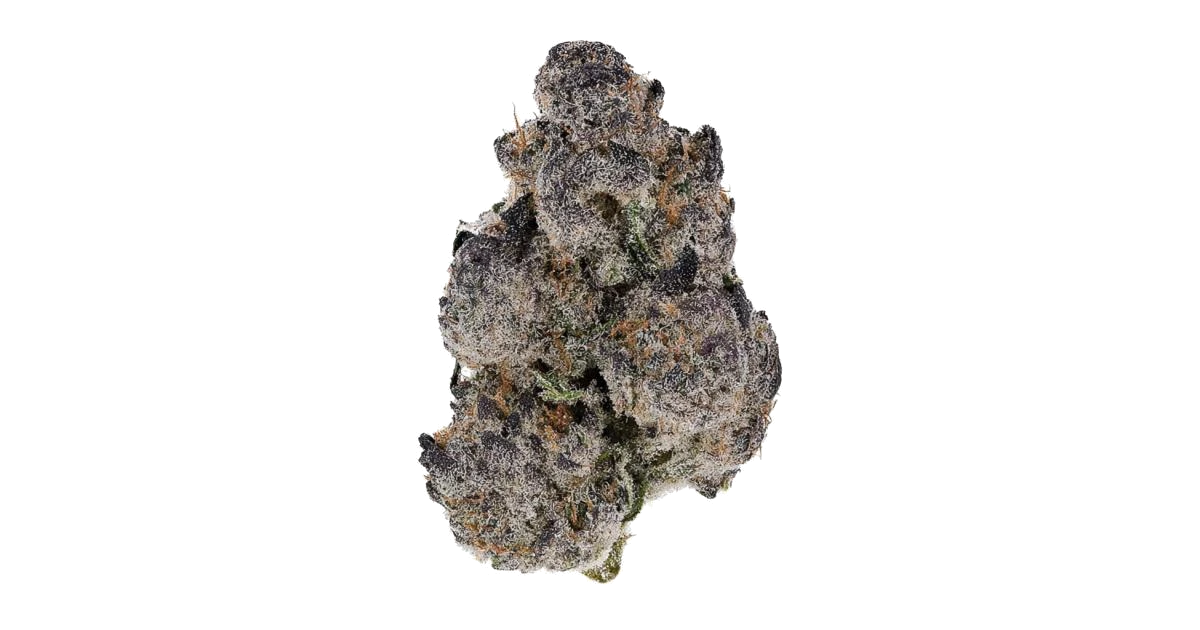 Black Truffle by 3rd Coast
