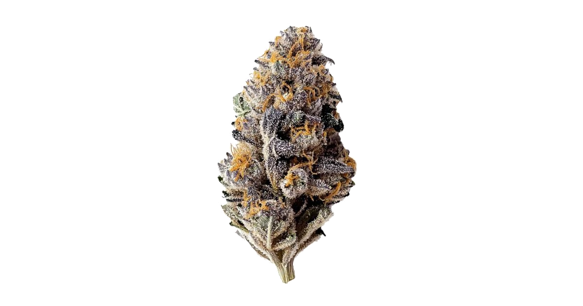 Blackberry Auto