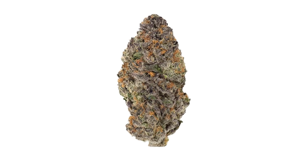 Blackberry Gelato