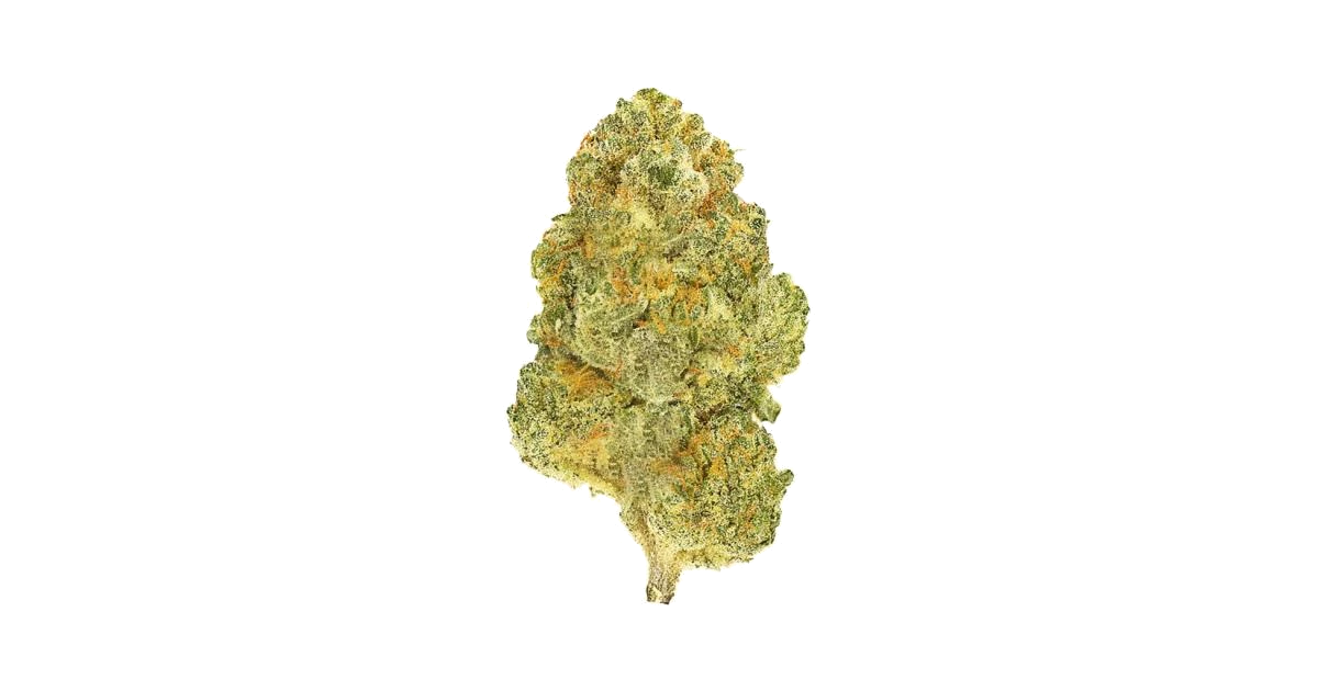 Blenders