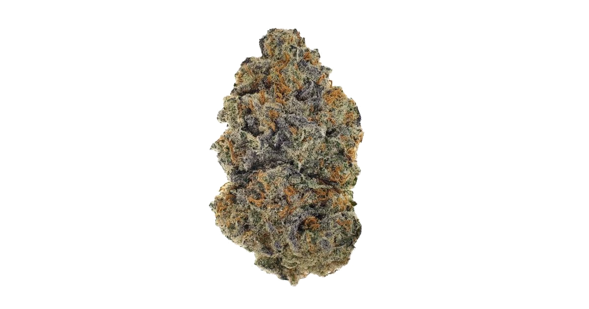 Blood Grape