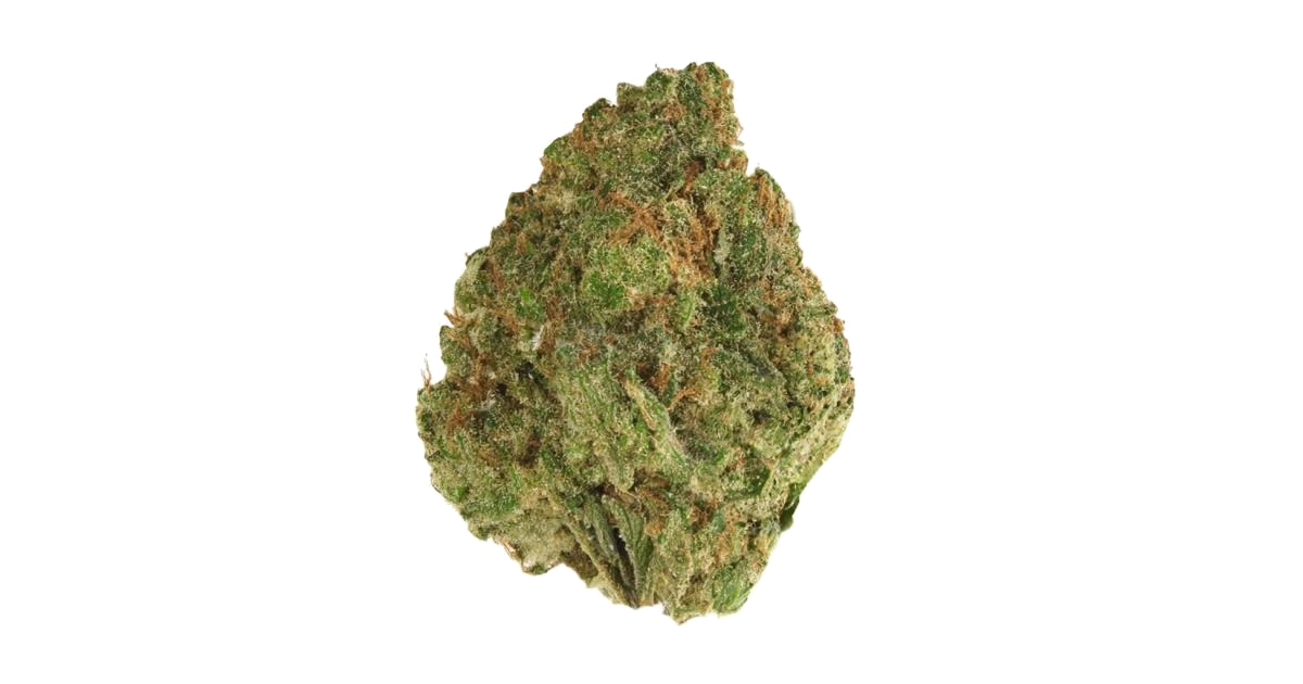 Blood Orange Beltz