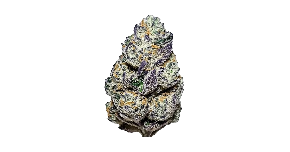 Blue Biscotti