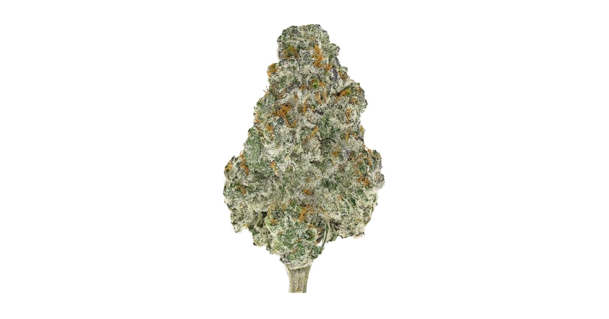 Blue Dream Full Term